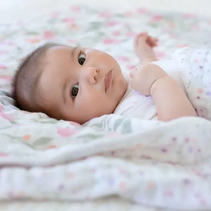 Aden + Anais - Boutique Cotton Muslin Dream Blanket - Image 3