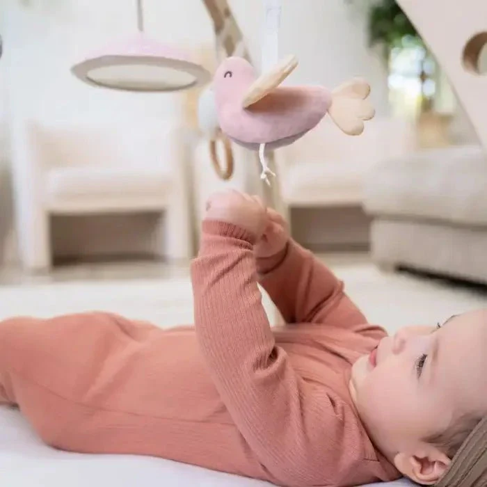 Aden + Anais - Play & Discover Activity Gym - Image 7