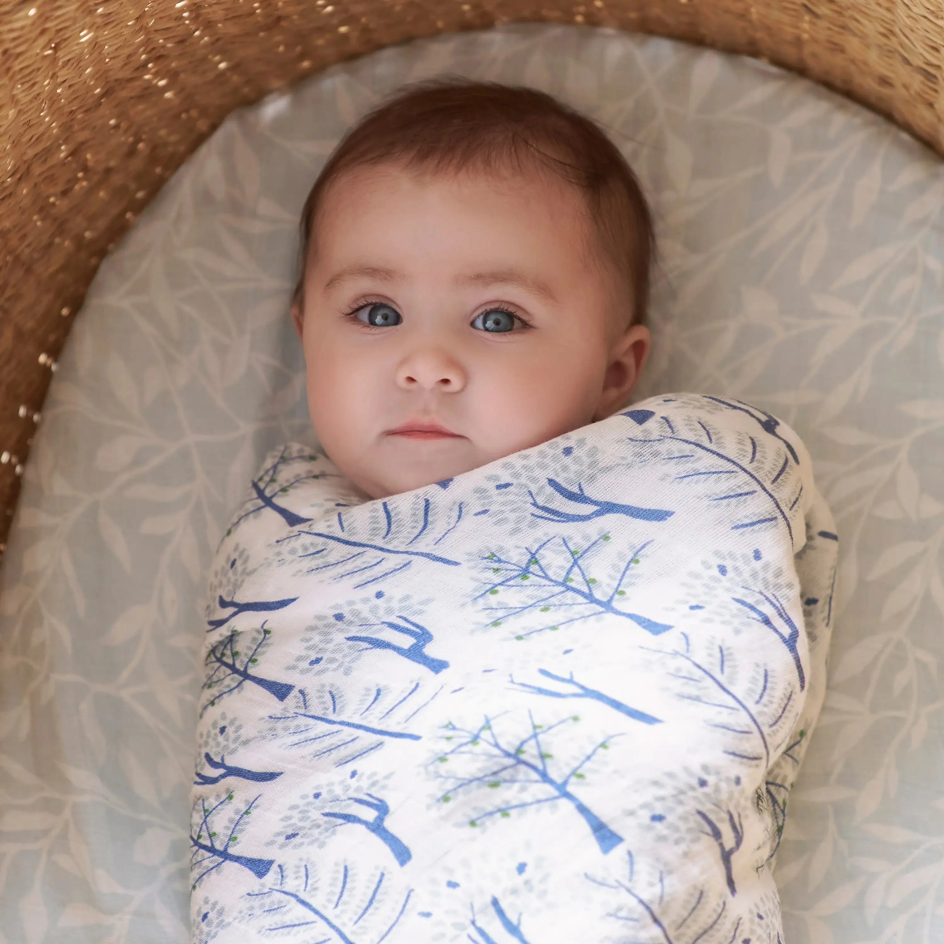 Aden + Anais - Premium Collection - Organic Cotton Muslin Swaddles -4pk - Image 7