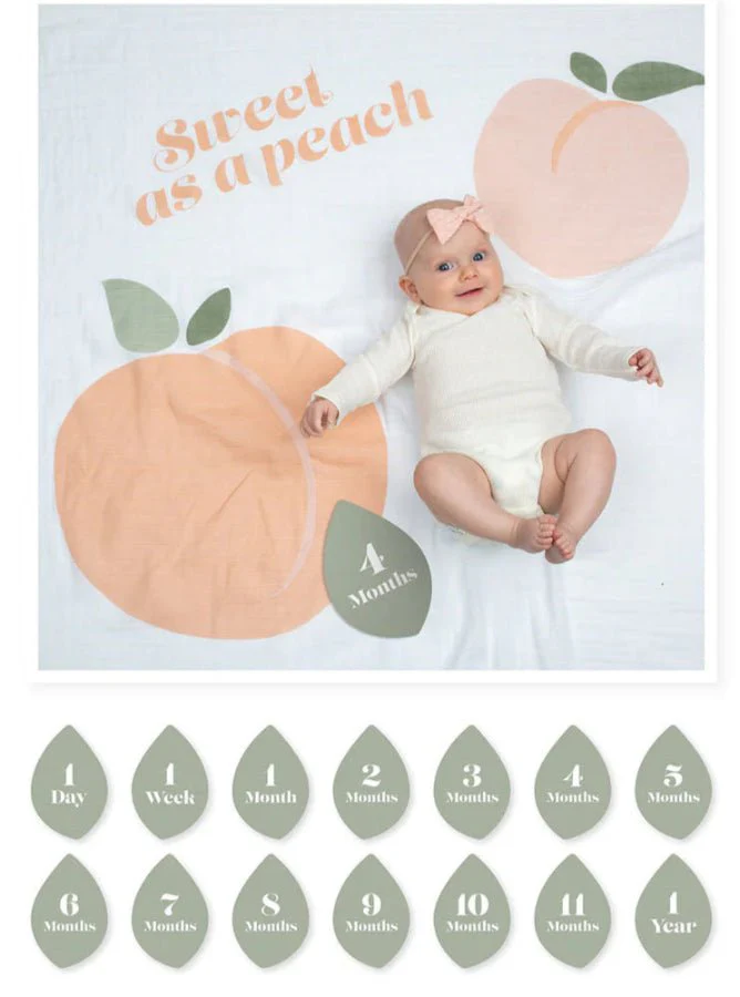 Lulujo - Baby's First Year Milestone Blanket - Image 11