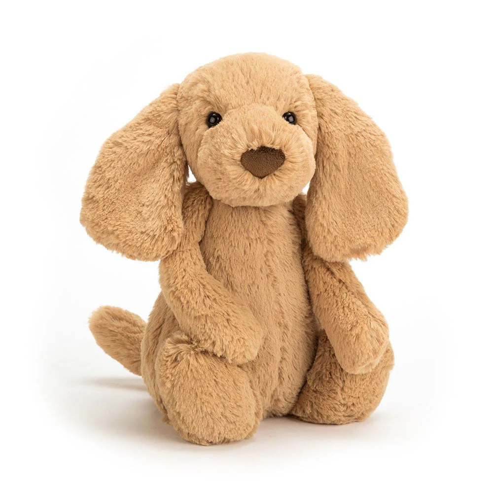 Jellycat - Bashful Toffee Puppy - Image 2