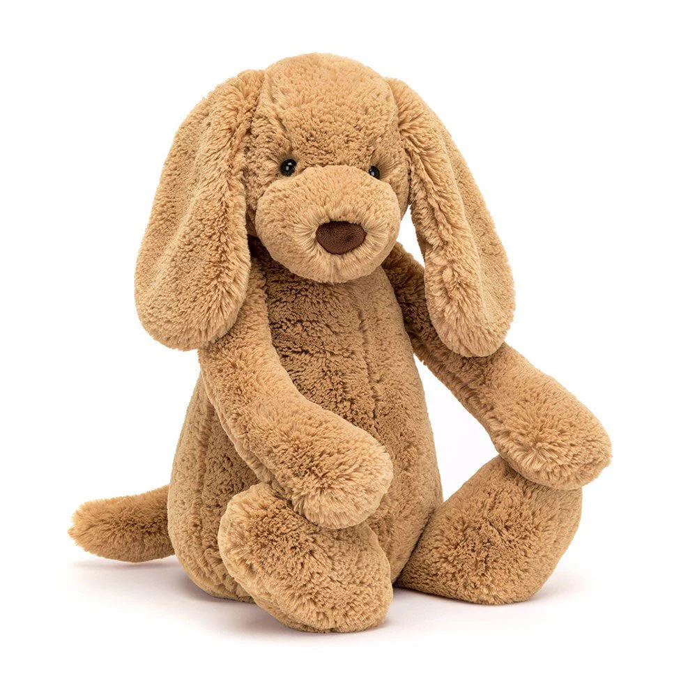 Jellycat - Bashful Toffee Puppy - Image 3
