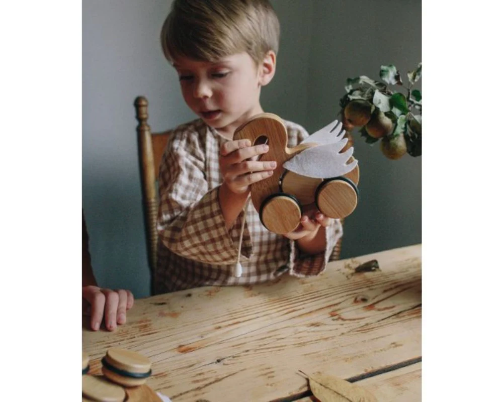 Kinderfeets - Bamboo Push & Pull Swan - Image 2