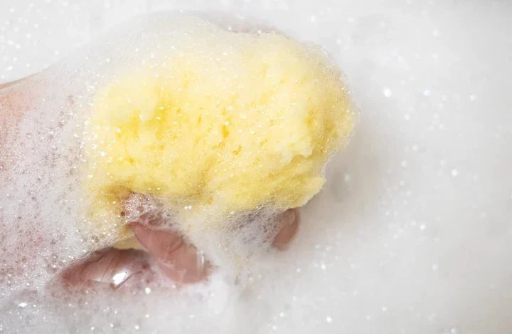 Loot Toys - Sandy The Sea Sponge - Image 3