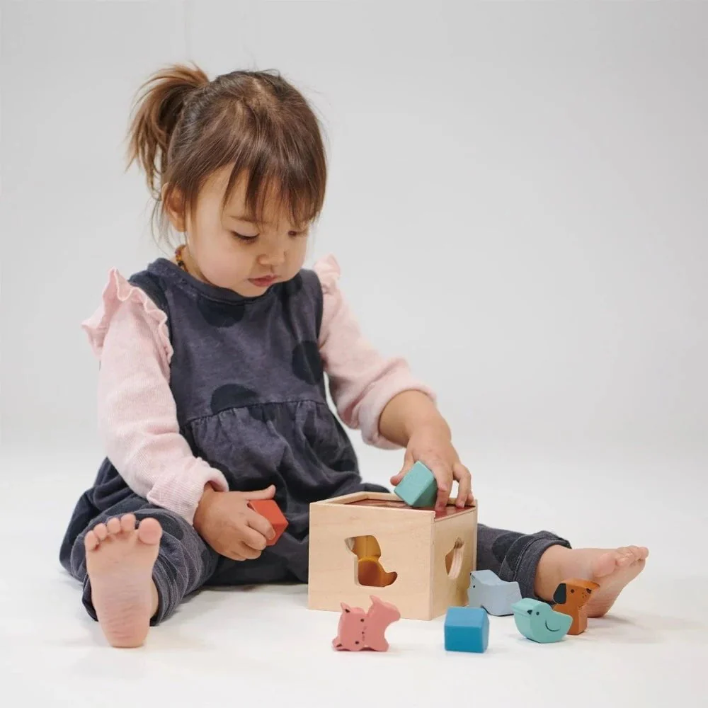 Mentari - Bambino Shape Sorting Cube - Image 3