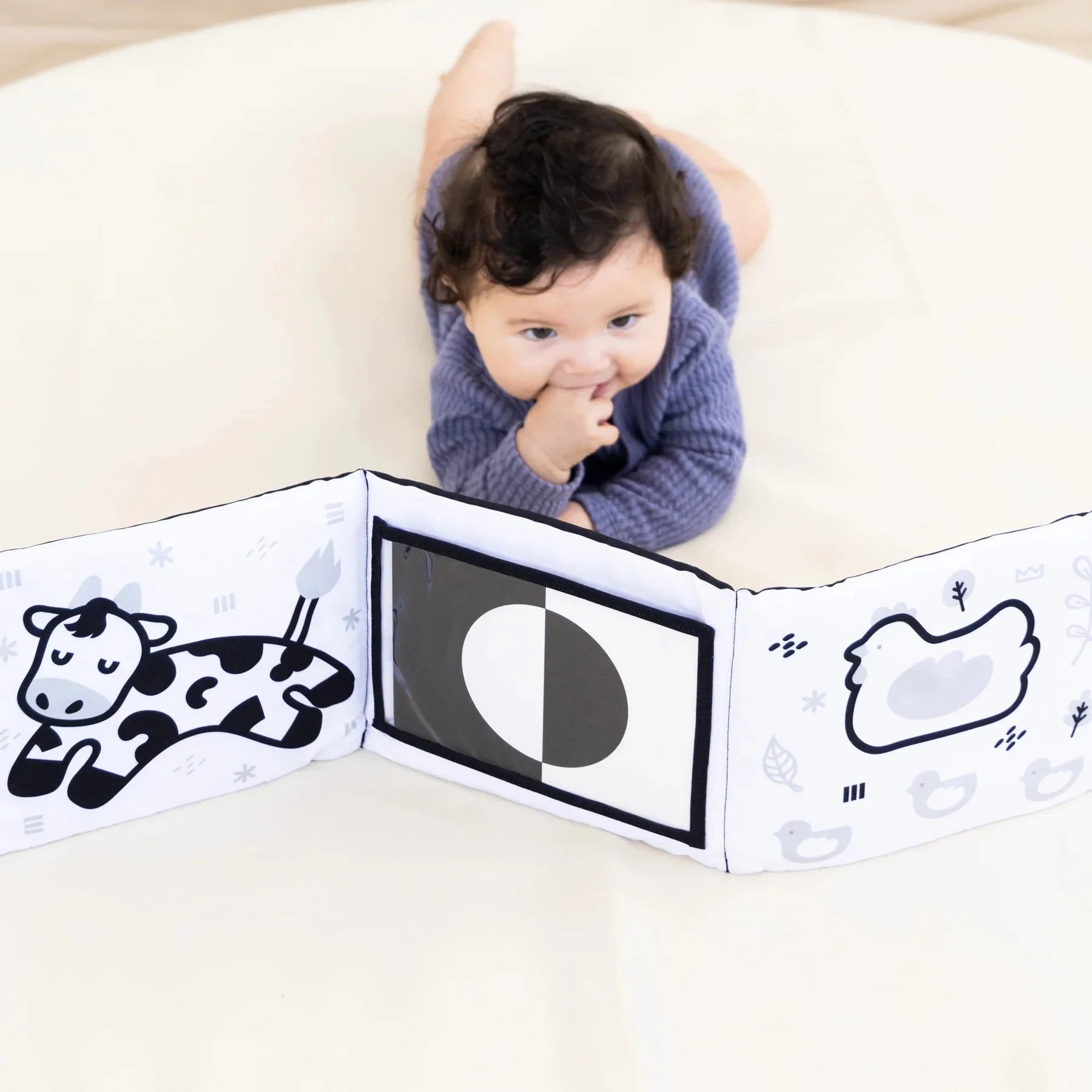 Pearhead - Learning Kit (0-6 Months) - Image 2