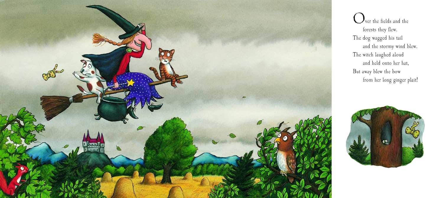 Room on the Broom - Boardbook - Image 4