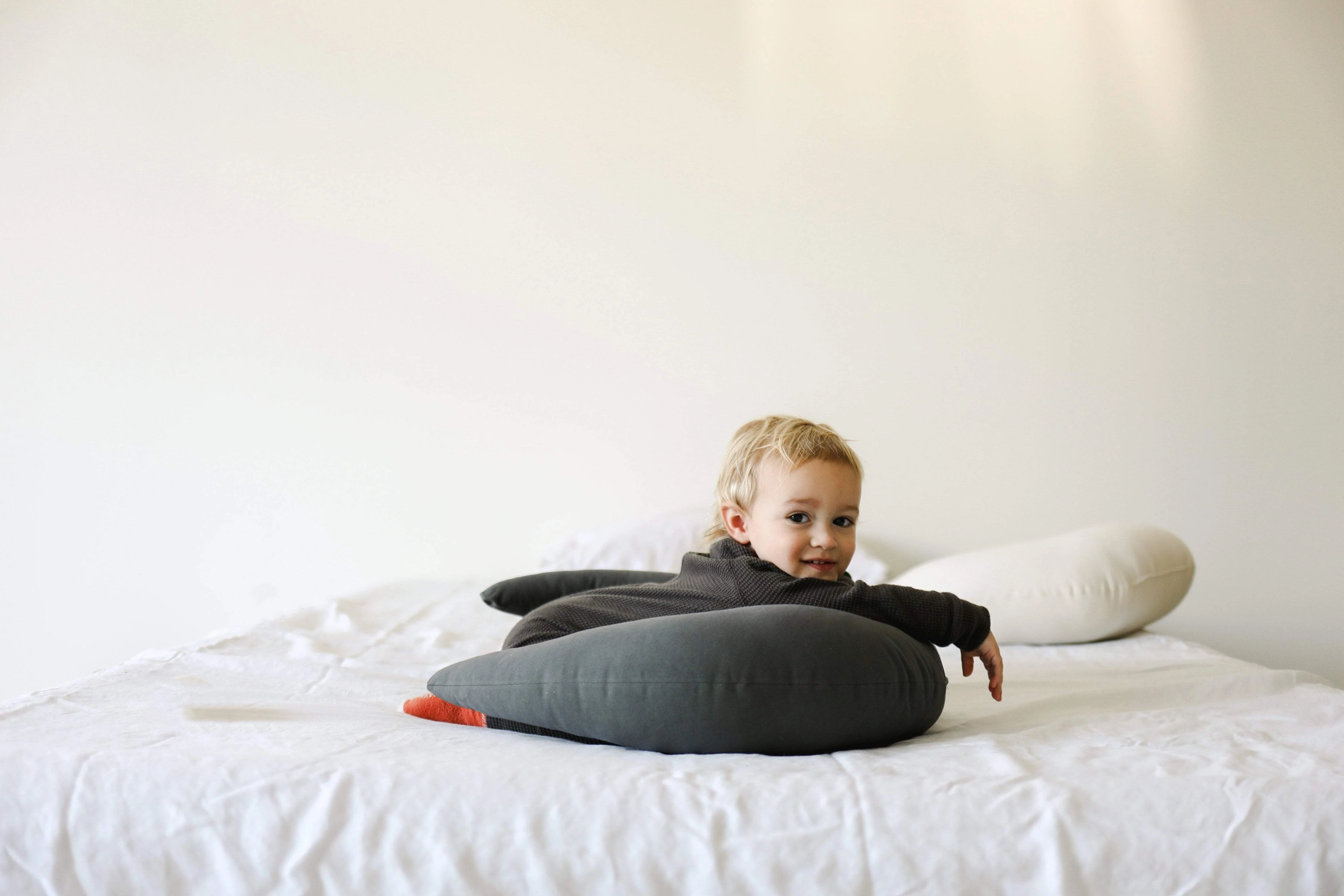 Snuggle Me Organic - Feeding & Support Pillow - Image 10