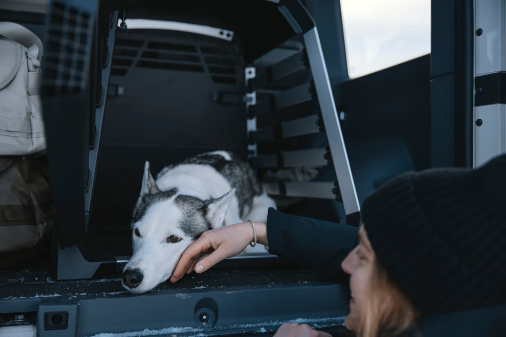 Thule - Allax Single - Dog Transport Crate - Image 9