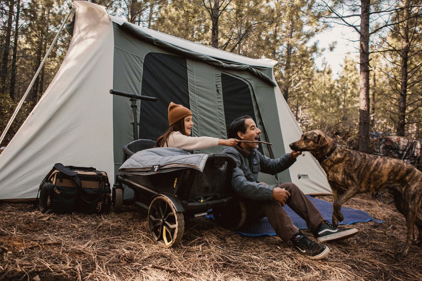 Veer - All-Terrain Cruiser Wagon - Image 13
